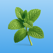 NEUROMINTS® (Драже)